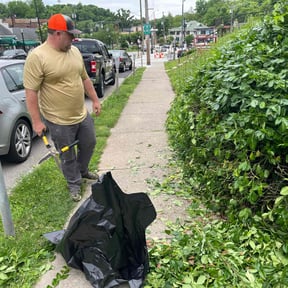 Bush Trimming by Precision Lawn Care of VA reviewed on October 25, 2022