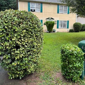 Bush Trimming by Court Landscaping reviewed on January 21, 2025