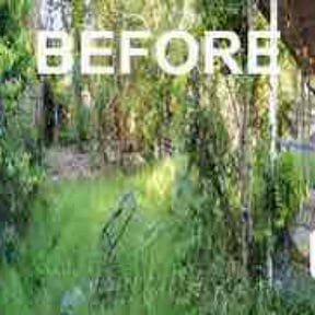 Bush Trimming by Jaimel Peace reviewed on June 11, 2022