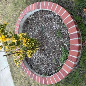 Flower Bed Weeding by Tropilawn Landscaping reviewed on June 13, 2022