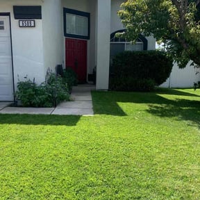 Bush Trimming by Walsh Landscape - Irrigation reviewed on May 31, 2022