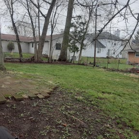 Leaf Removal by A Lawn Service reviewed on June 25, 2021