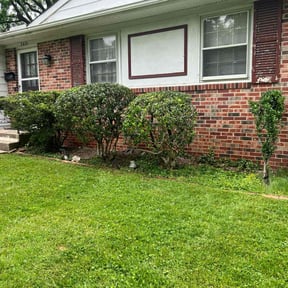 Bush Trimming by EECO SERVICES LLC reviewed on May 5, 2021