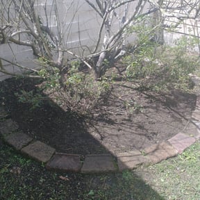 Flower Bed Weeding by Paint by Ponch reviewed on December 3, 2020