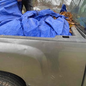 Leaf Removal by Jeremy's Lawn Service reviewed on March 17, 2022