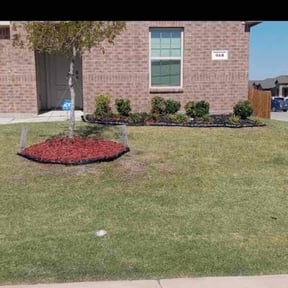 Bush Trimming by Solis Landscaping & Maintenance LLC reviewed on April 22, 2025