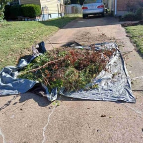 Flower Bed Weeding by David Milla reviewed on May 2, 2025