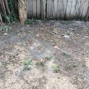 Cleanups by Clark and son lawn care reviewed on October 16, 2022