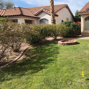 Bush Trimming by Lawnscape pros reviewed on December 6, 2023