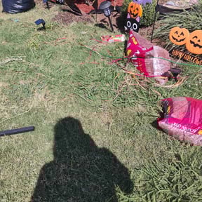 Weeding by Chucks Cutz LLC reviewed on April 26, 2022