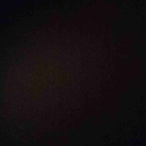 Flower Bed Weeding by Mng services reviewed on May 5, 2020