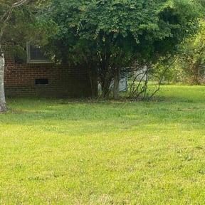 Bush Trimming by Active Do It All Lawn Care reviewed on June 18, 2025