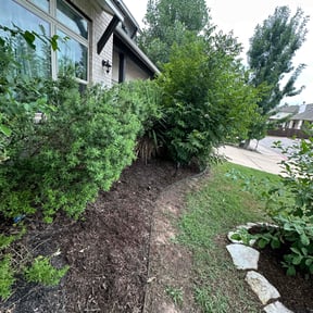 Flower Bed Weeding by Daniel's lawn care service LLC reviewed on June 30, 2022