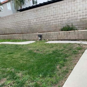Flower Bed Weeding by Timothy Inge reviewed on July 7, 2022
