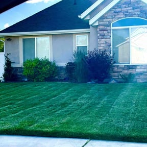 Bush Trimming by Crowder's lawn care reviewed on July 30, 2021