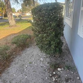 Bush Trimming by JBS inc reviewed on July 29, 2020