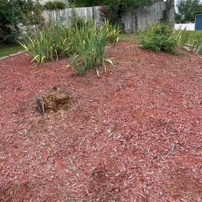 Flower Bed Weeding by Gio Landscaping reviewed on August 8, 2022
