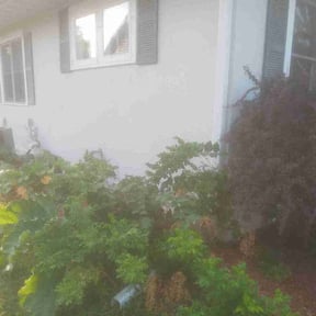 Leaf Removal by Green Leaf Lawn Service reviewed on November 12, 2024