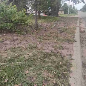 Cleanups by Thompson lawn care reviewed on July 19, 2022