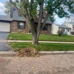 Cleanups by Affordable Lawncare Co. reviewed on May 24, 2025