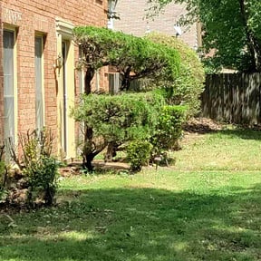 Bush Trimming by MJ Lawncare Solutions reviewed on April 28, 2025