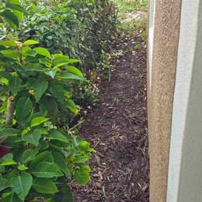 Bush Trimming by Laupola's Landscaping reviewed on May 25, 2025