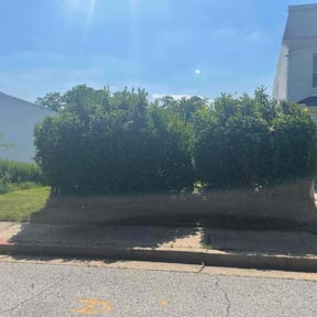 Bush Trimming by Pinedas lawn mowing pro reviewed on July 6, 2025