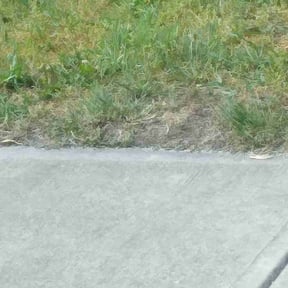 Landscaping by GarcÃa-G lawn care service LLC reviewed on August 18, 2024