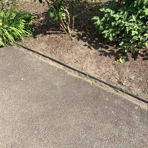 Flower Bed Weeding by Class A Landscaping reviewed on July 4, 2022