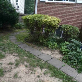Bush Trimming by Wilson Leon Landscaping reviewed on June 20, 2025