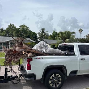 Cleanups by LSLTDallas/FortWorthTruGreen reviewed on June 4, 2025