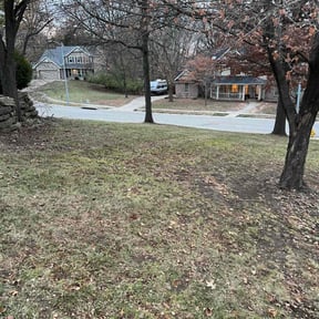 Leaf Removal by Fullview lawn service reviewed on July 15, 2025