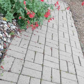Flower Bed Weeding by Mane Hand Handyman Services LLC reviewed on November 14, 2024