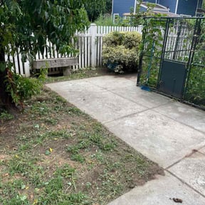 Leaf Removal by LSLTDallas/FortWorthTruGreen reviewed on June 10, 2025