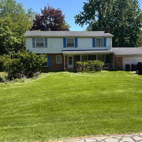 Bush Trimming by Davis landscaping reviewed on August 9, 2020