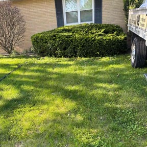 Bush Trimming by Uno Drywall and Painting Services ,LLC dba Franklin McCarter reviewed on May 13, 2022