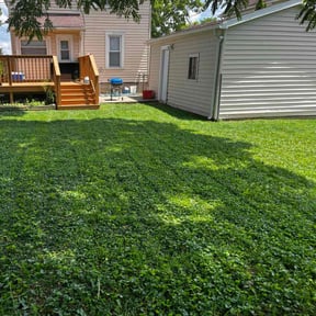 Leaf Removal by TruGreen LawnCare reviewed on June 11, 2025