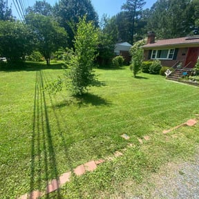 Mulching by Enclave Landscape Management reviewed on June 21, 2022
