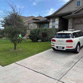 Bush Trimming by Wildflower Lawn Care Company reviewed on November 18, 2022