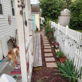Leaf Removal by Olguin Property Management reviewed on May 16, 2022
