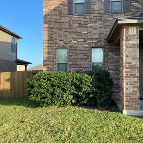 Bush Trimming by Elite Lawn care reviewed on May 24, 2021