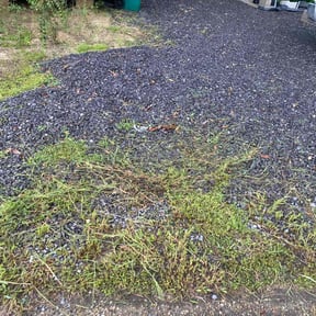 Leaf Removal by GRASS EFX LAWN CARE reviewed on July 13, 2025