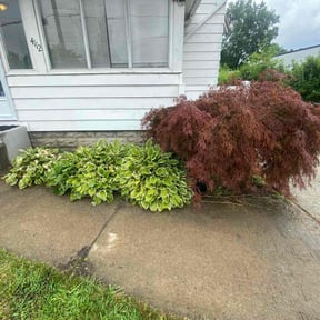 Flower Bed Weeding by Lagger Properties reviewed on October 10, 2022