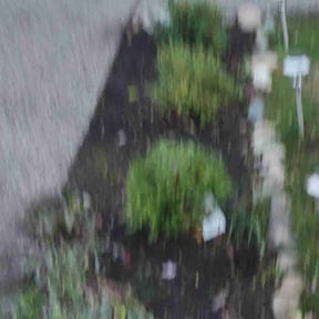 Bush Trimming by Undercut Lawn Care reviewed on August 13, 2024