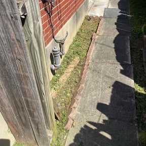Bush Trimming by Ralph's Lawncare reviewed on July 17, 2025