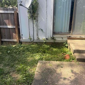 Weeding by Byers Lawn reviewed on November 16, 2024