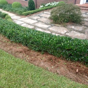 Bush Trimming by Ride In Shine Out reviewed on February 7, 2025