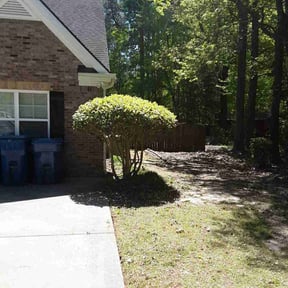Bush Trimming by My Family Lawn Care reviewed on August 3, 2022