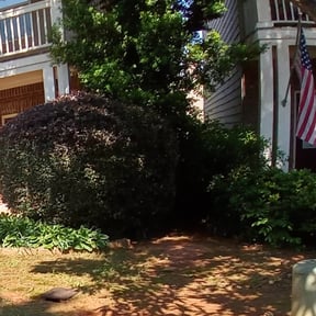Bush Trimming by Perfect image lawn service of Georgia reviewed on March 14, 2025
