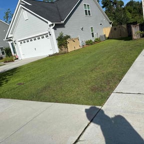 Weeding by Home Grown Garden and Lawn reviewed on July 30, 2022